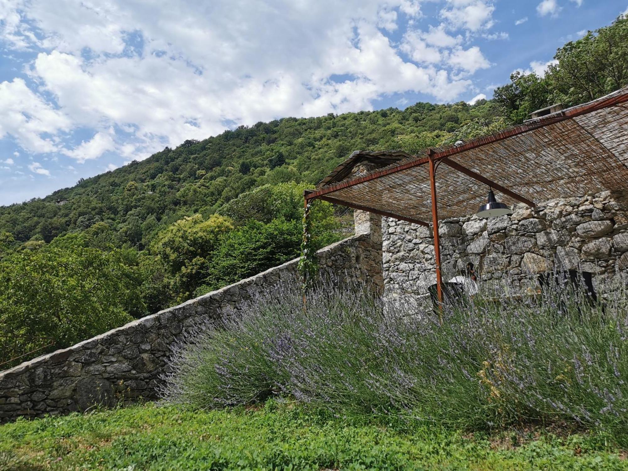 Villa Borgo Selvapiana Morbegno Exterior foto
